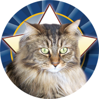Cats- Maine Coon Insert [TD-2483] – Trophy Depot