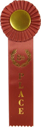 8th Place Single Streamer Rosette Ribbon [R10R1-8TH]