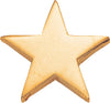Gold Flat Star Pin [PCM-STR-464G]