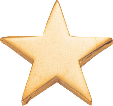 Gold Flat Star Pin [PCM-STR-464G]