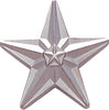 Silver Star Pin [PCM-STR-199S]