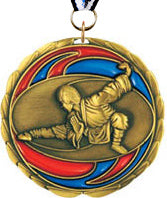 Martial Arts Epoxy Color Medal - Gold [MEC2-MA-G]