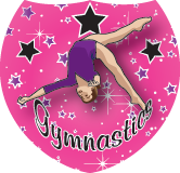 Gymnastics Aerial Shield Insert [SH-3701]