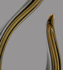 Moray Art Glass Award [AGJS25]