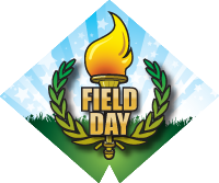 Field Day - Torch Diamond Insert [DI-4147]