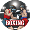 Boxing Insert [TD-2279]