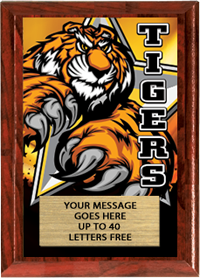 Full Color Plaques [PFCSTK5-MSCT]