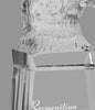 American Eagle Crystal Tower Award 8