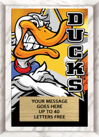 Full Color Plaques [PFCSTK5-MSCT]