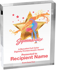 Gymnastics Vibrix Acrylic Award [A34BV-GG]