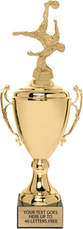 Gold Metal Championship Cup [C1-FL]