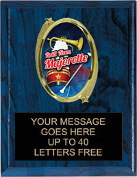 Oval Insert Plaque [POV68]