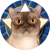 Cats- Burmese Insert [TD-2451]