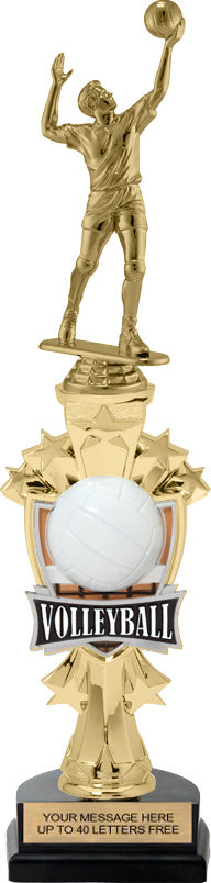 Volleyball Shooting Star Sport Riser Trophy [TMSSTR14-VB]