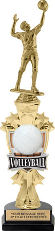 Volleyball Shooting Star Sport Riser Trophy [TMSSTR14-VB]