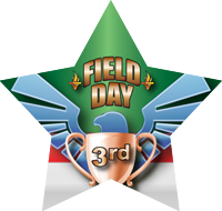 Field Day- 3rd Place Eagle Star Insert [ST-1373]